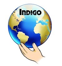 Логотип компании Индиго, клуб развития
