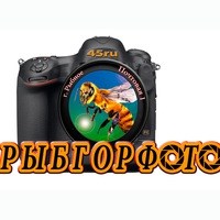 Логотип компании Рыбновская городская фотография